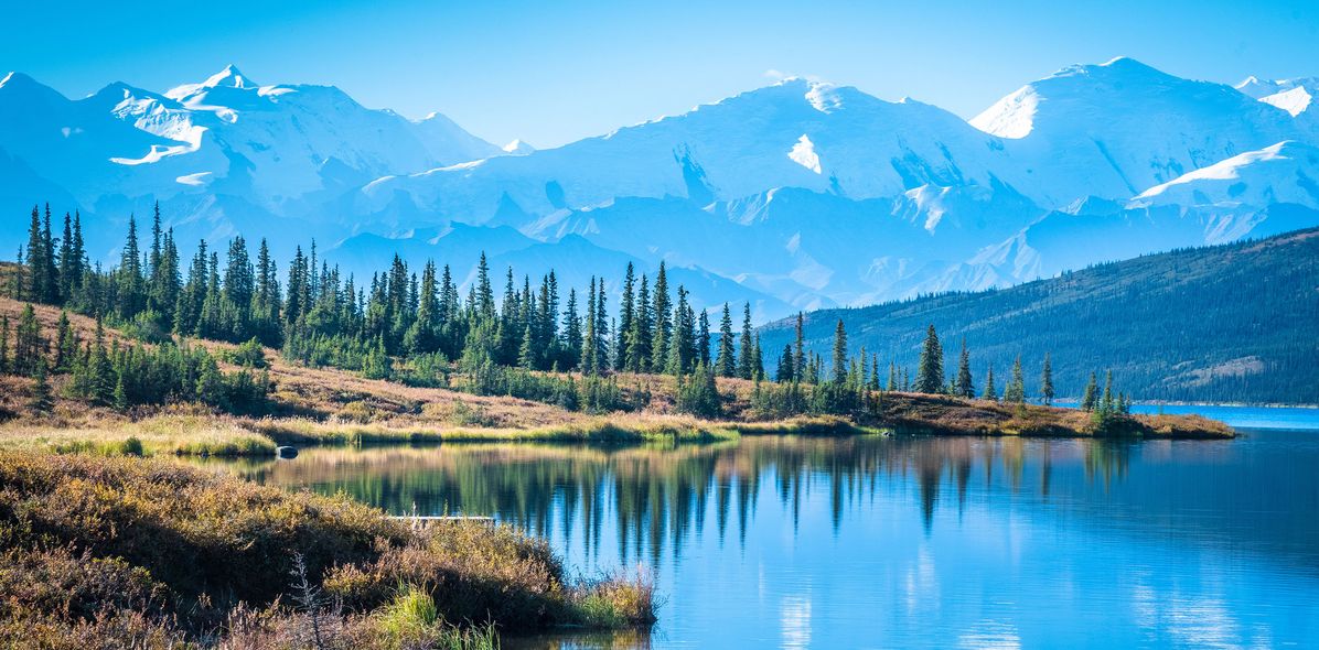 Denali Nationalpark in Alaska