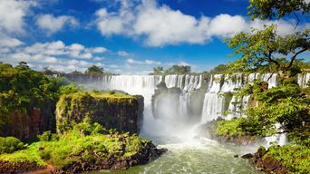 Iguazú-Wasserfälle mit dichter Vegetation und mächtigen Kaskaden