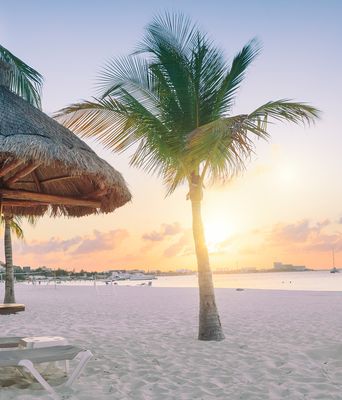 Strand bei Cancún mit Palmen und Sonnenuntergang über dem Meer