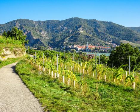 Panoramablicke und Donau-Romantik-2