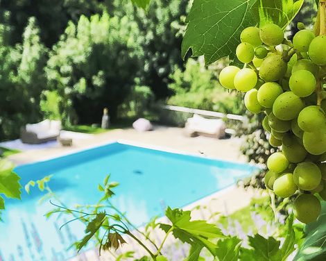 Winzerhotel am Gut Moser-0