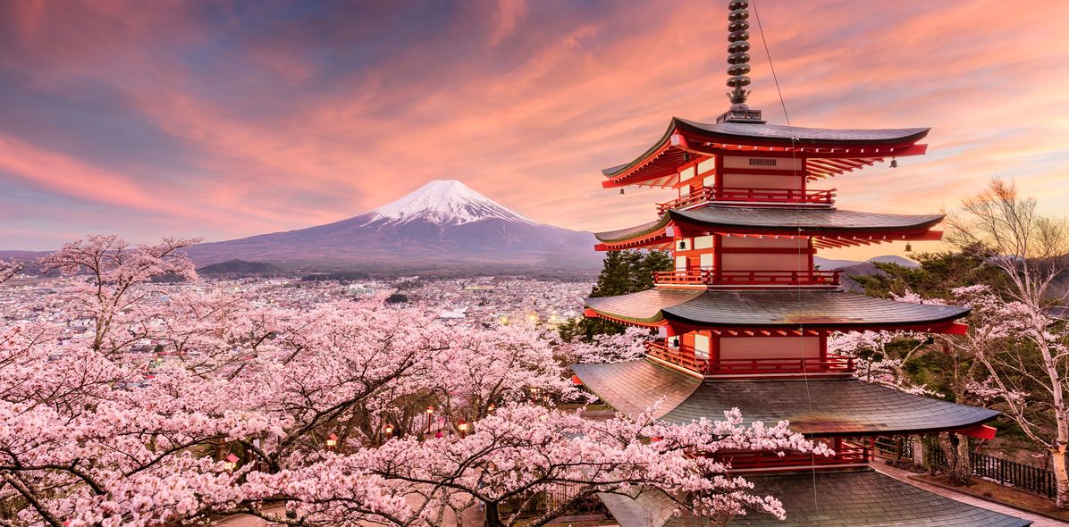 Tempel mit Kirschblüten vor dem Mount Fuji in Japan