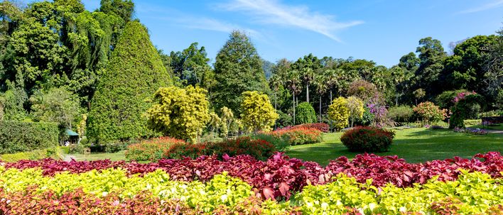 Blumenbeete und tropische Pflanzen im Botanischen Garten von Peradeniya nahe Kandy, Sri Lanka