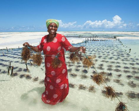 Inselträume und Safariabenteuer in Ostafrika-2