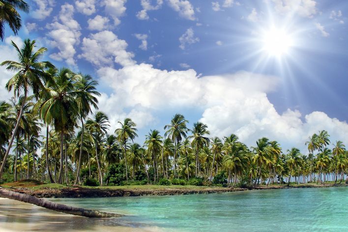 Palmengesäumter Strand in der Dominikanischen Republik