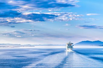 Kreuzfahrtschiff auf hoher See