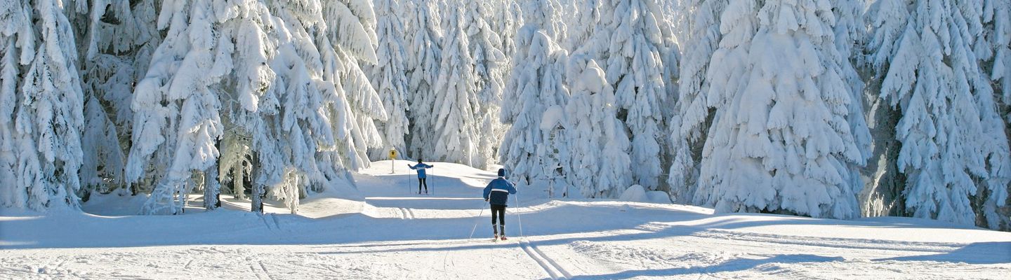 Zwei Langlauffahrer gleiten durch verschneiten Winterwald bei Sonnenschein
