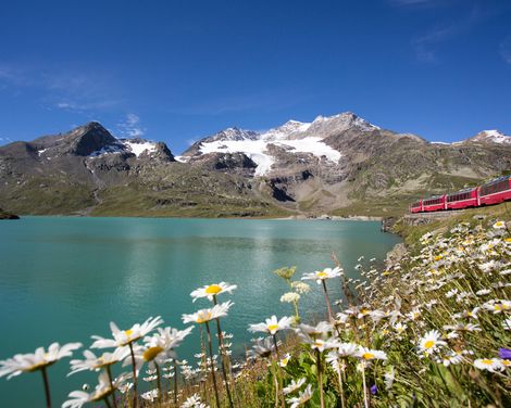 Panoramazug-Rundreise von Luzern bis Zermatt