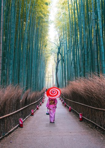 Frau in traditioneller Kleidung spaziert durch den Bambuswald in Kyoto, Japan