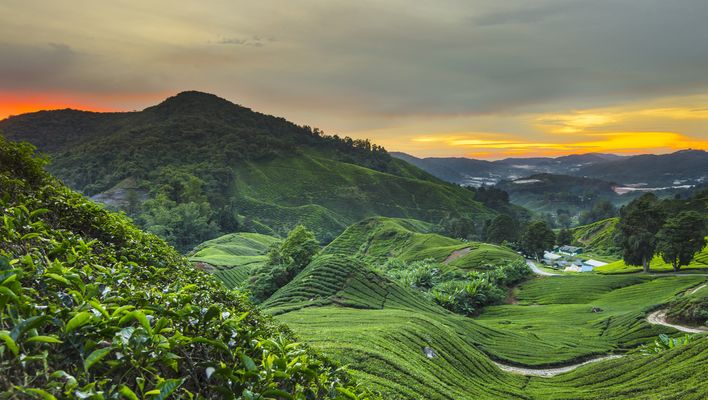 Landschaft in Malaysia