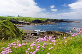 Sligo Landschaft in Irland