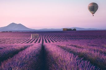 Landschaft in der Provence