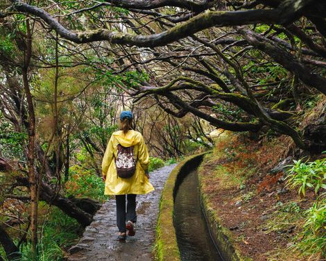 Wanderreise von Porto da Cruz bis Calheta