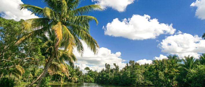 Ciénaga de Zapata in Kuba