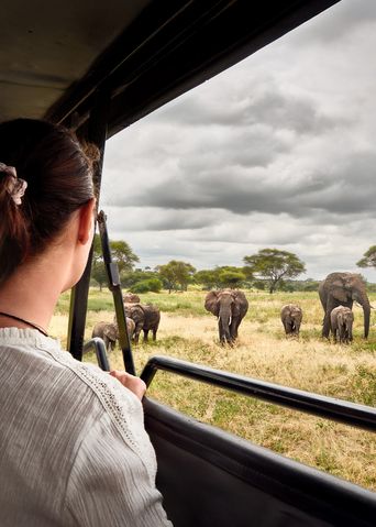 Frau beobachtet Elefanten bei einer Safari