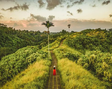 Magische Momente zwischen Borobudur und Bromo Vulkan-0