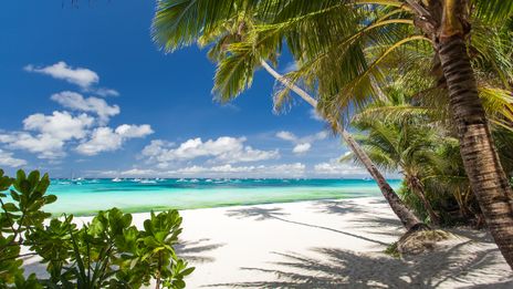 Strand bei Cancún mit weißem Sand, Palmen und türkisfarbenem Meer