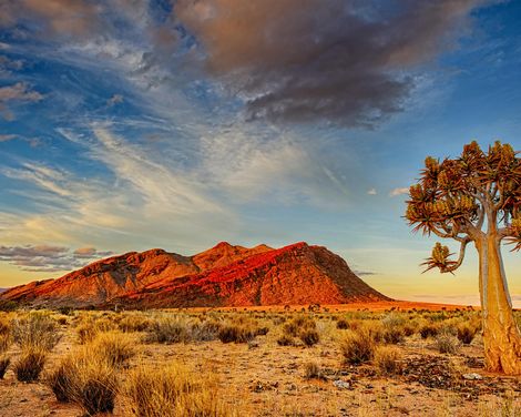 Kreuzfahrt mit MS Hamburg von Walvis Bay bis Hamburg inkl. Namibia-Rundreise-3