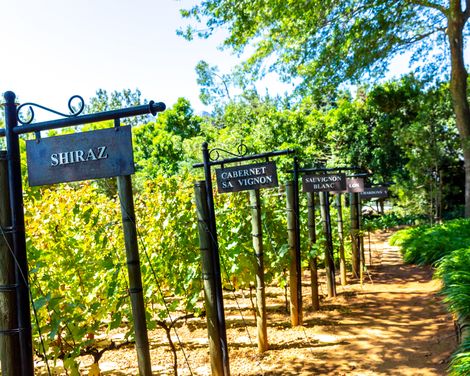 Auf zu Krüger, Kap und Küste-3