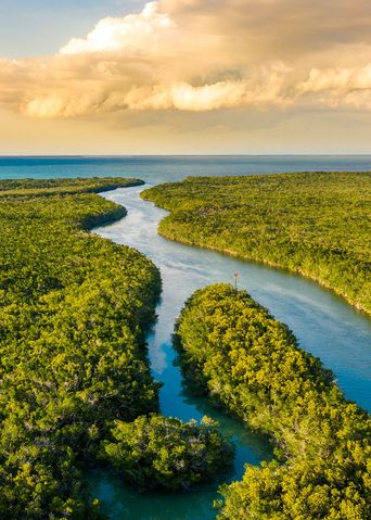 Everglades Nationalpark in Florida