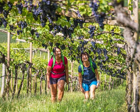 Genusswandern durch Weinberge bis zum Gardasee-0