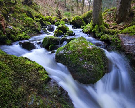 Urlaubsspaß im 4-Sterne-Hotel Hofgut Sternen in Breitnau-3