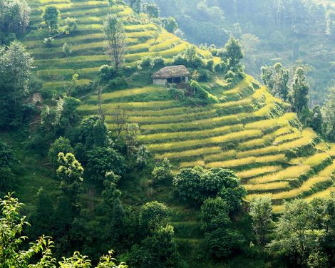 Abenteuer zwischen Bergpfaden und Dschungelpfaden-3
