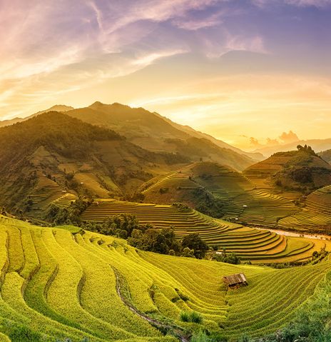 Blick auf Reisterrassen und Sonnenaufgang