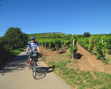 Radeln, wo Wein und Geschichte blühen-0