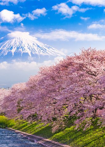 Japan Mount Fuji