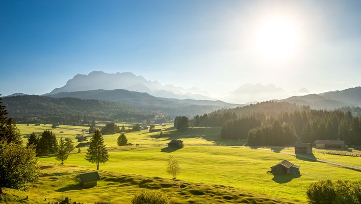 Bayern Buckelwiesen