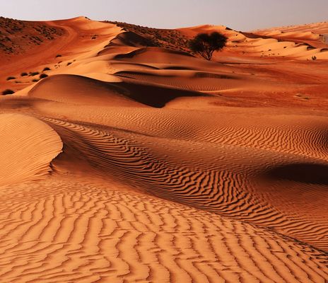 Wüstenlandschaft im Oman