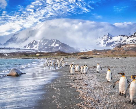 Kreuzfahrt mit Oosterdam ab Buenos Aires/Santiago de Chile an Santiago de Chile/Buenos Aires-0