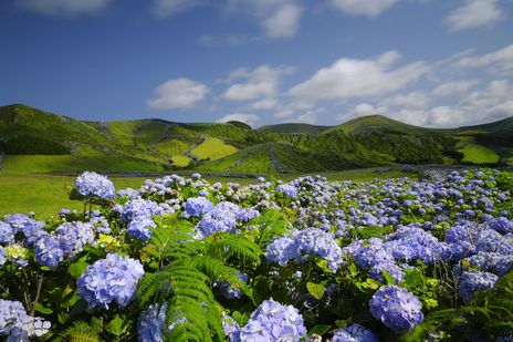Insel Flores auf den Azoren
