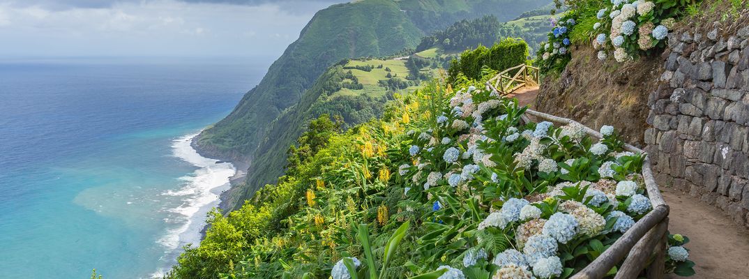 Blumen auf den Azoren