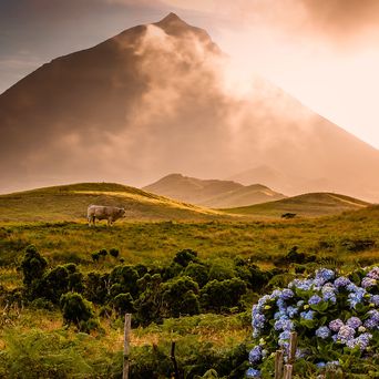 Vulkan Faial auf Pico