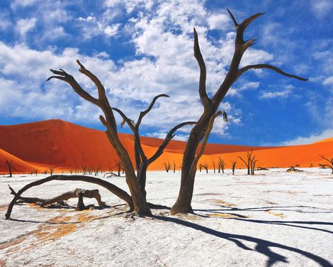 Rundreise ab/an Windhoek inkl. Ganztagssafari im Etosha Nationalpark-0