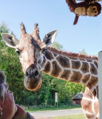 Lüneburger Heide - Hodenhagen