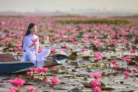 Frau im weißen Kleid sitzt in kleinem Boot auf See voller rosa Seerosenblüten