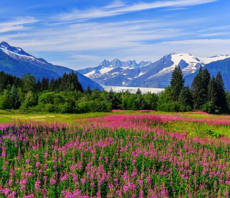 Naturlandschaft von Alaska
