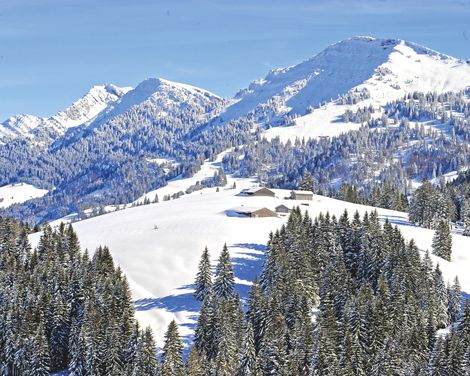 Entspannungsurlaub im Parkhotel Wallgau-0