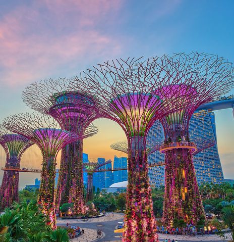 Singapur Gardens by the Bay bei Nacht