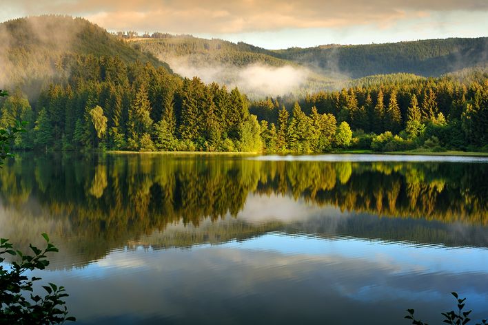 Reiseführer, Deutschland, Harz, See, Wald