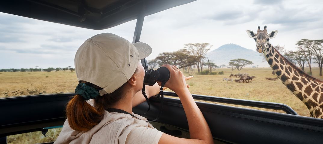 Frau beobachtet Giraffe bei Safari