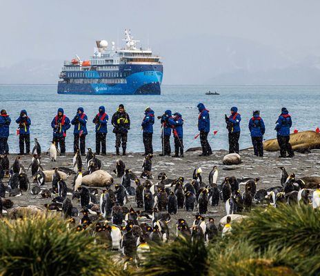 Pinguin-Expedition mit der Ocean Victory
