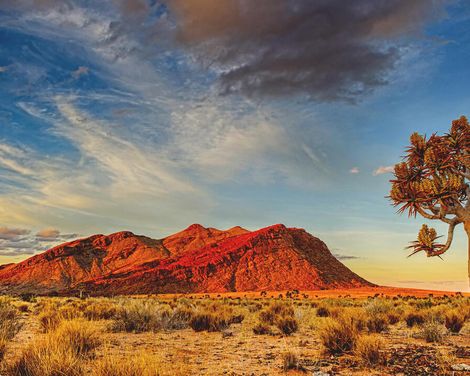 Kreuzfahrt mit MS Hamburg von Walvis Bay bis Hamburg inkl. Namibia-Rundreise-3