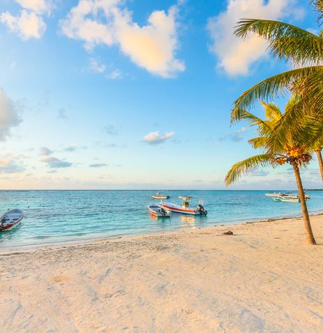 Strand von Akumal mit Palmen und hellem Sand am türkisfarbenen Meer