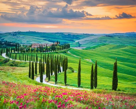 Flexible Mietwagen-Rundreise ab/an Pisa: Toskana und Elba 