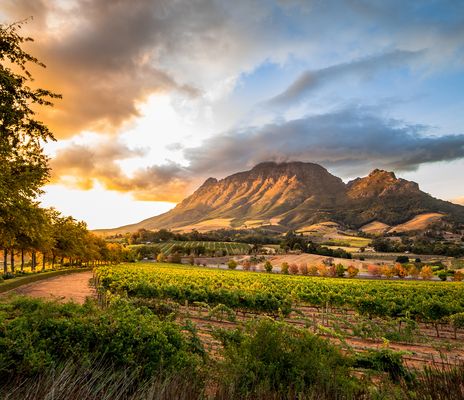 Stellenbosch Südafrika