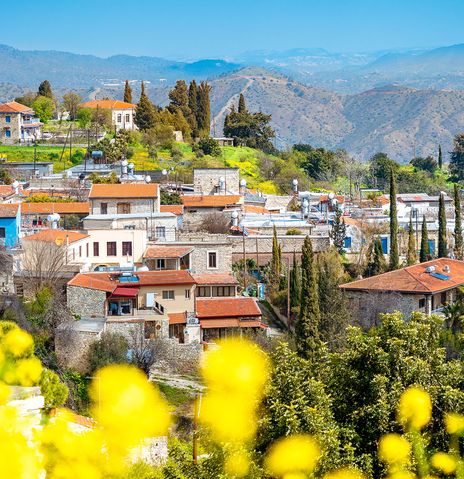 Lefkara mit Blumen